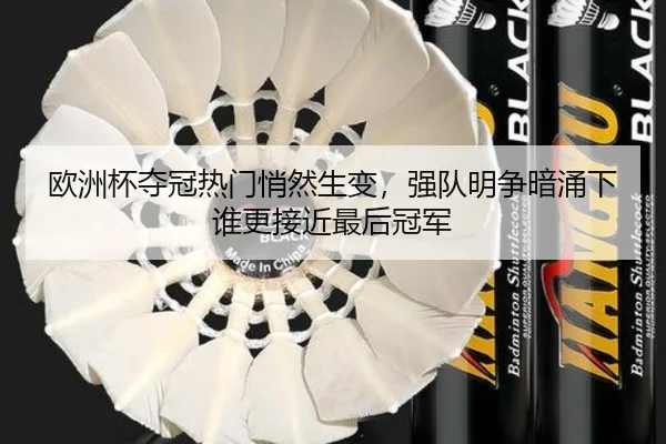 欧洲杯夺冠热门悄然生变，强队明争暗涌下谁更接近最后冠军